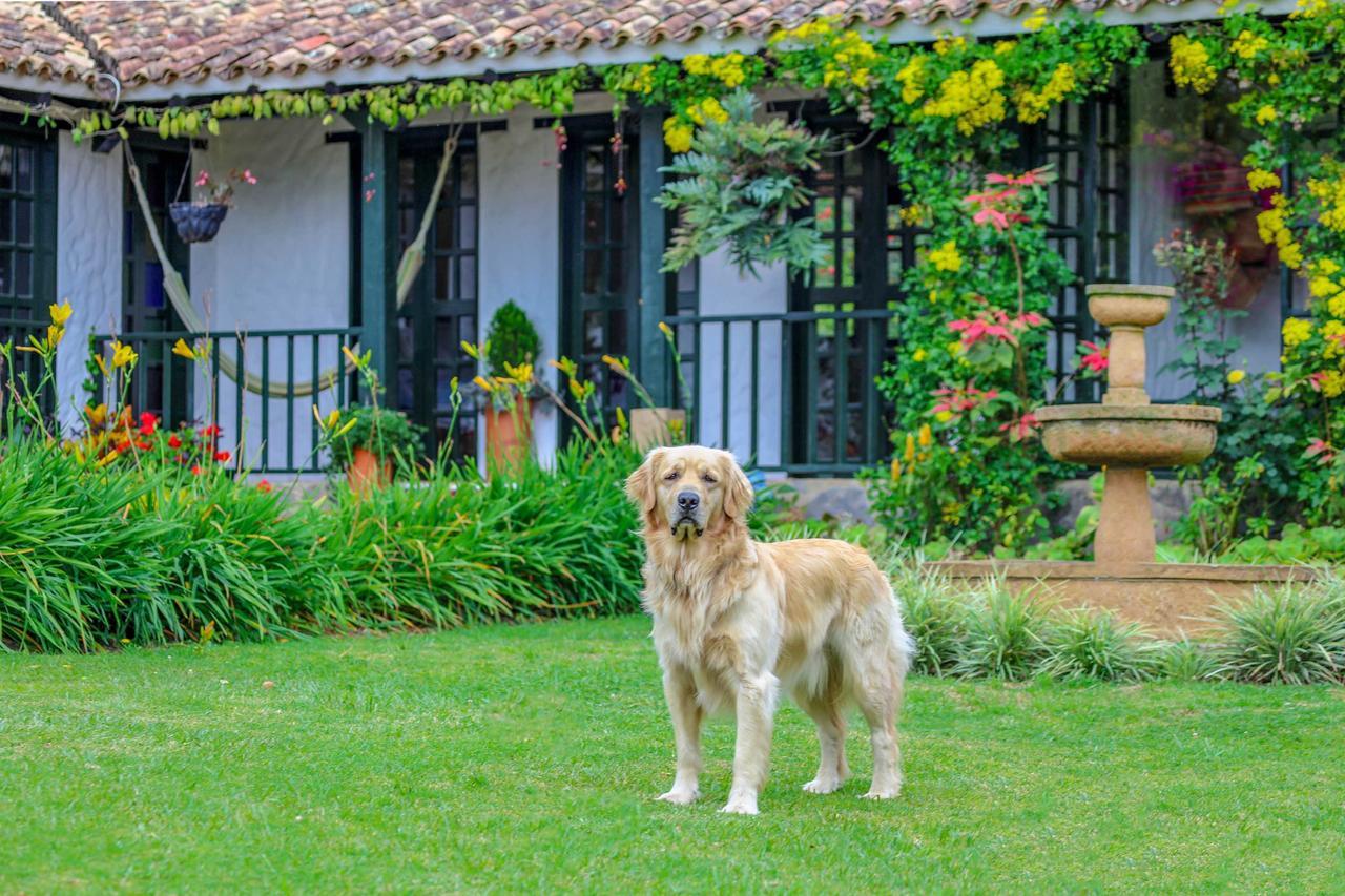 Casa San Nicolas Villa de Leyva Exterior photo